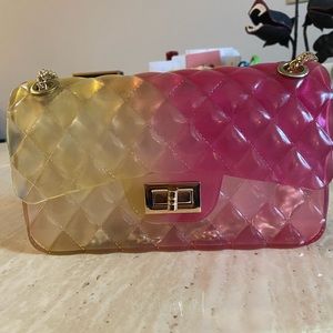 BRAND NEW Super cute dual color jelly purse!